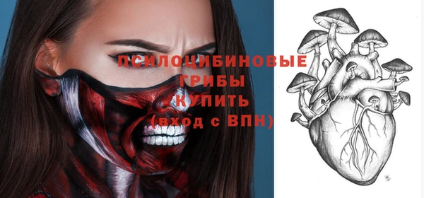 кокс Алексин